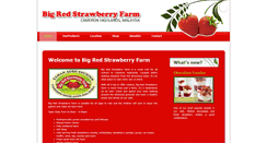 Desktop Screenshot of bigredstrawberryfarm.com