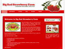 Tablet Screenshot of bigredstrawberryfarm.com